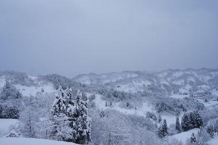 雪国の冬の文化を体験できるツアー『かまくら茶もっこの夕べと雪遊び』が開催されます！